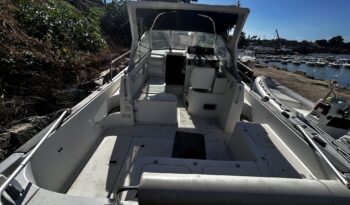 BENEATEAU OMBRINE 960 pieno